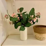 Maggiore Appartement