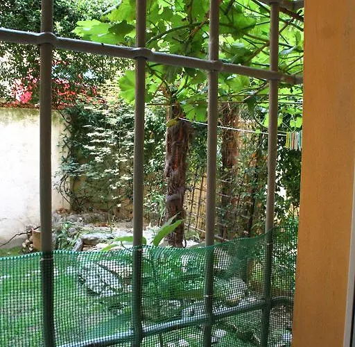 Maggiore *
