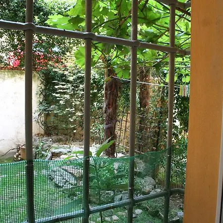 Maggiore *